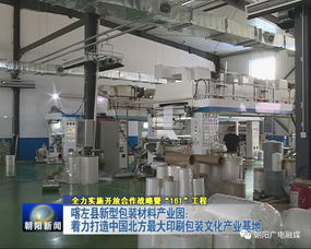 年產(chǎn)值20億元包裝產(chǎn)業(yè)園崛起，26家包裝印刷廠共筑產(chǎn)業(yè)新高地